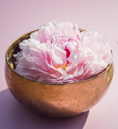 Close up Tibetan singing bowl with floating inside in water pink peony flower on the pink background